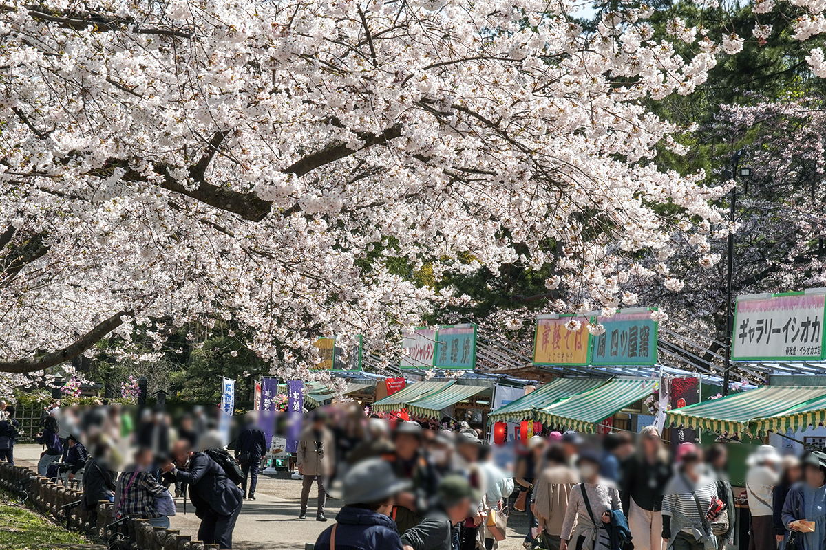 2026年4月17日、弘前公園三の丸