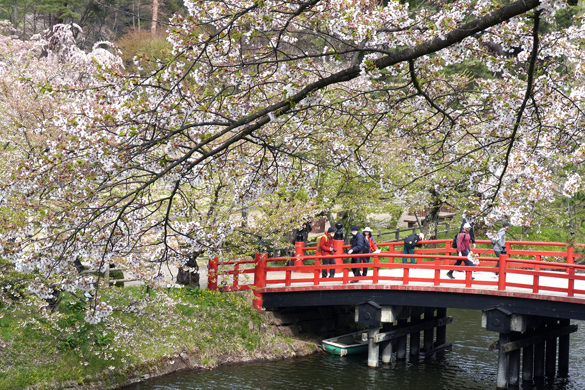 2026年4月22日、弘前公園北の郭
