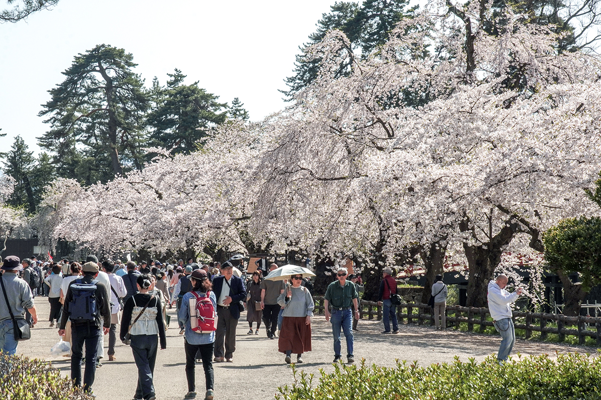 2026年4月20日、弘前公園二の丸・下乗橋周辺