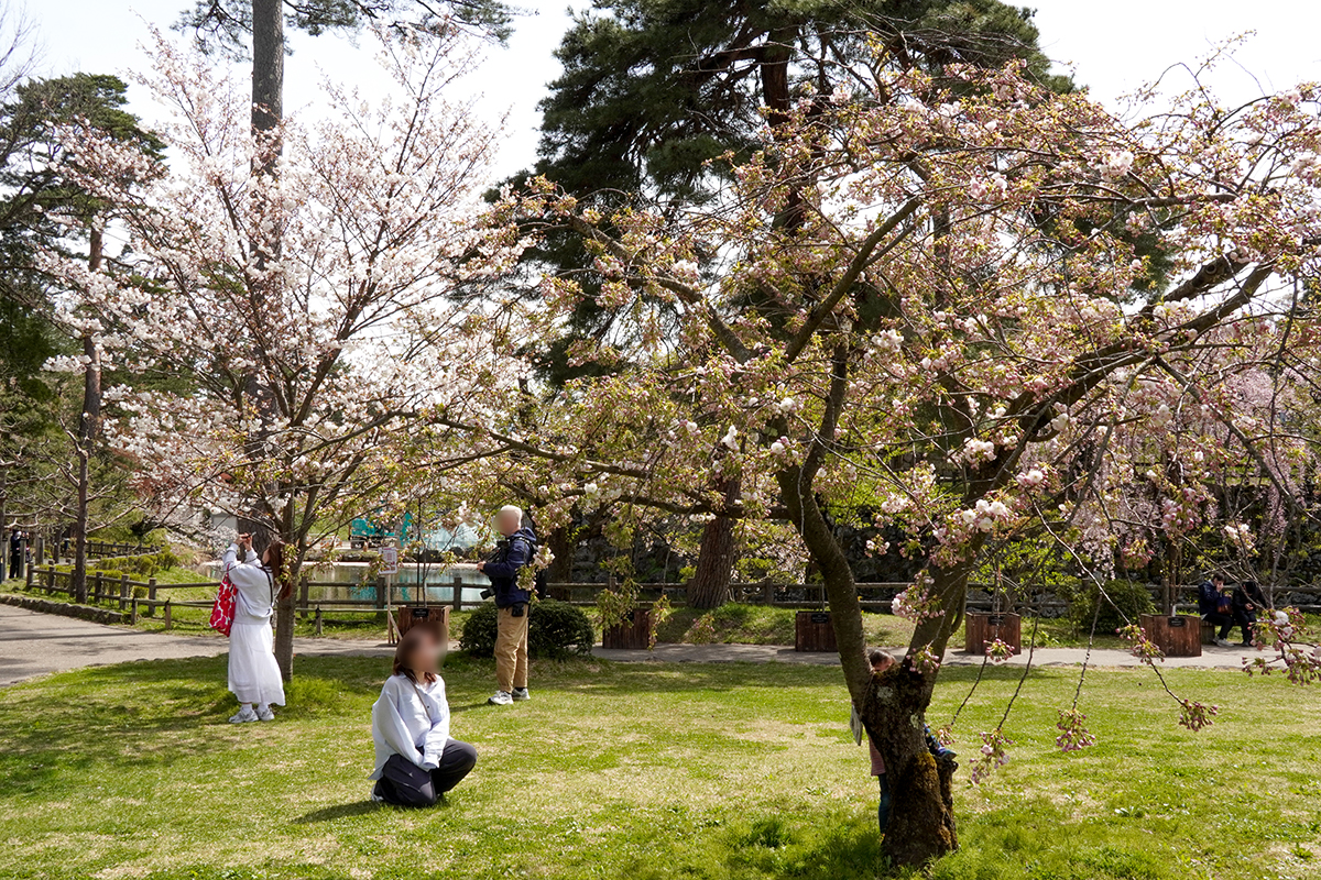 2026年4月23日、弘前公園北の郭
