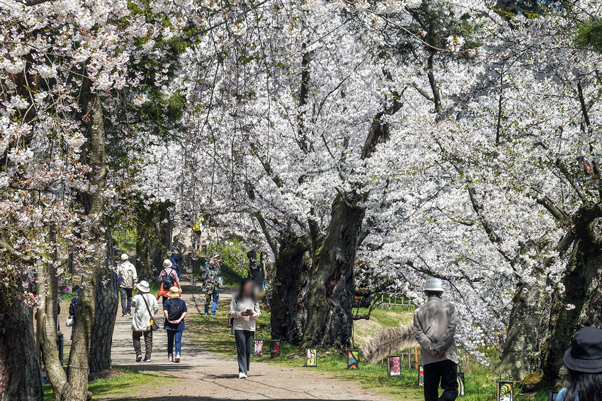 2026年4月17日、弘前公園西の郭