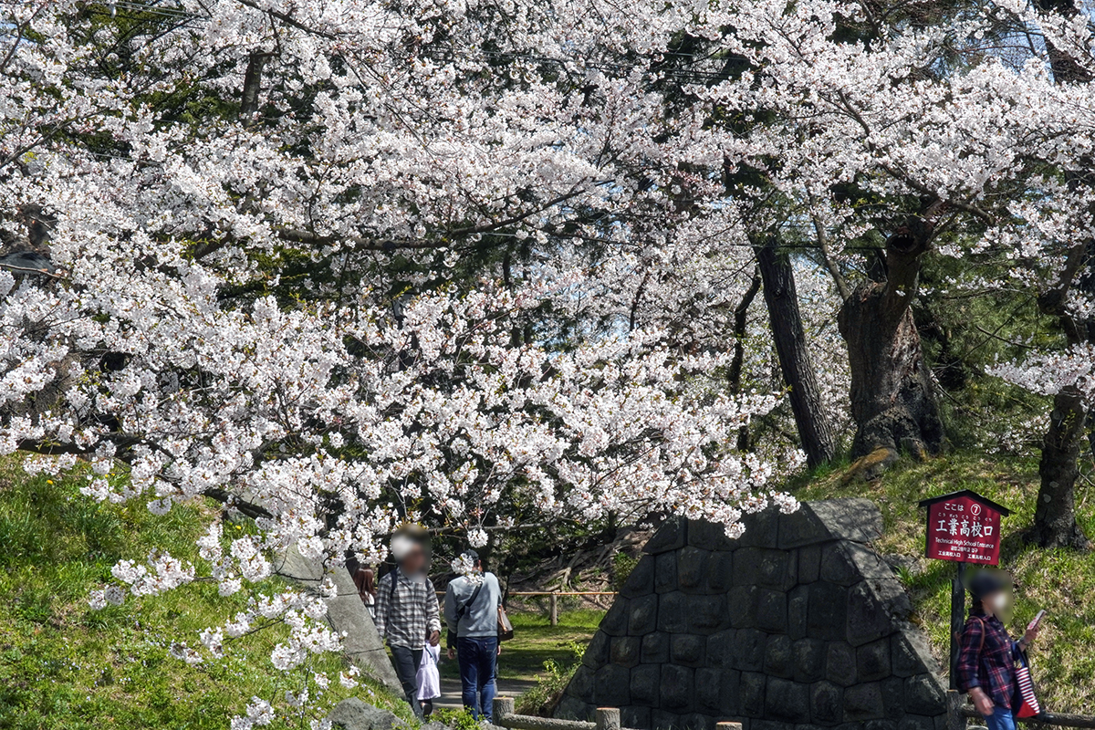 2026年4月17日、弘前公園西の郭・工業高校口