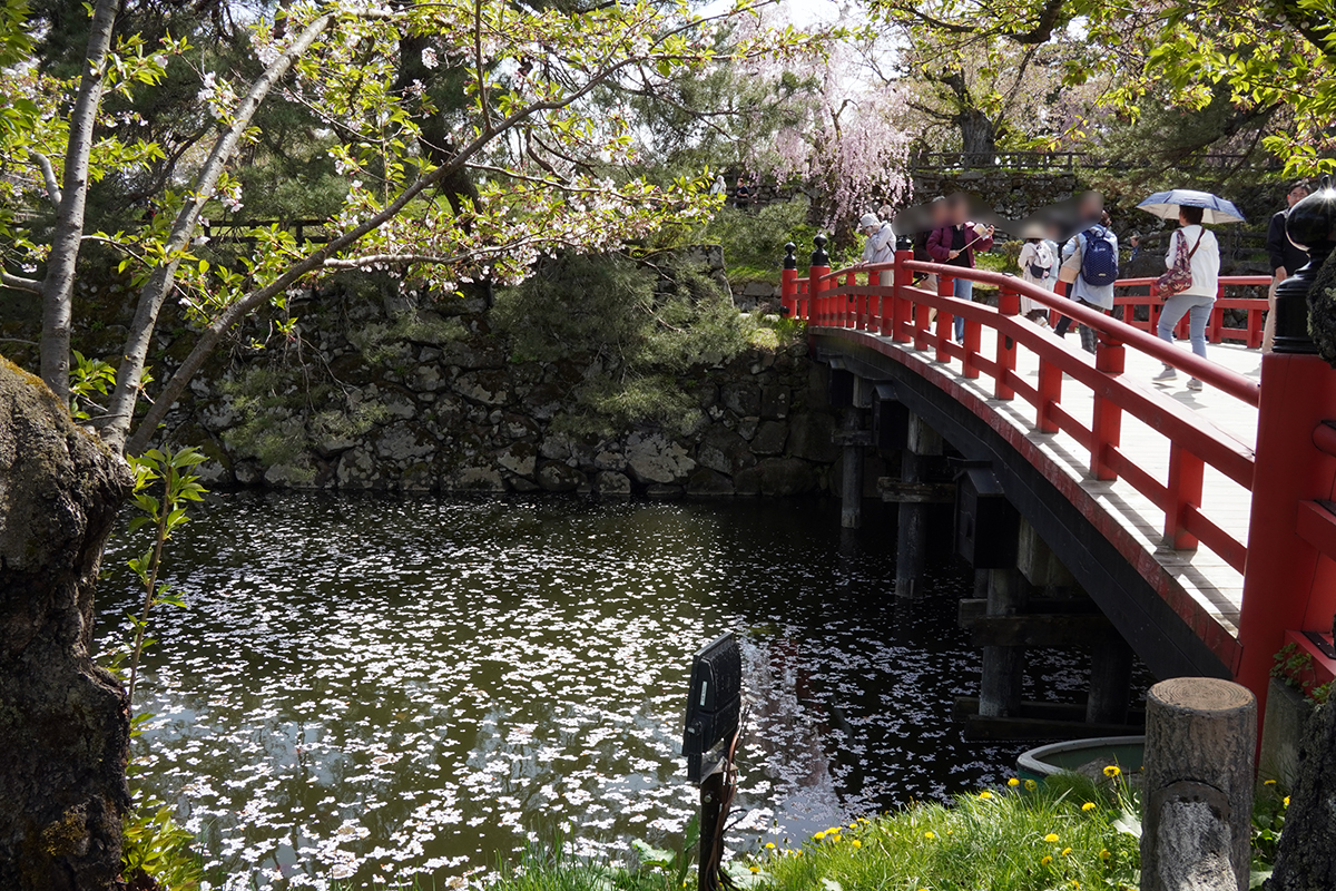 2026年4月23日、弘前公園北の郭・鷹丘城