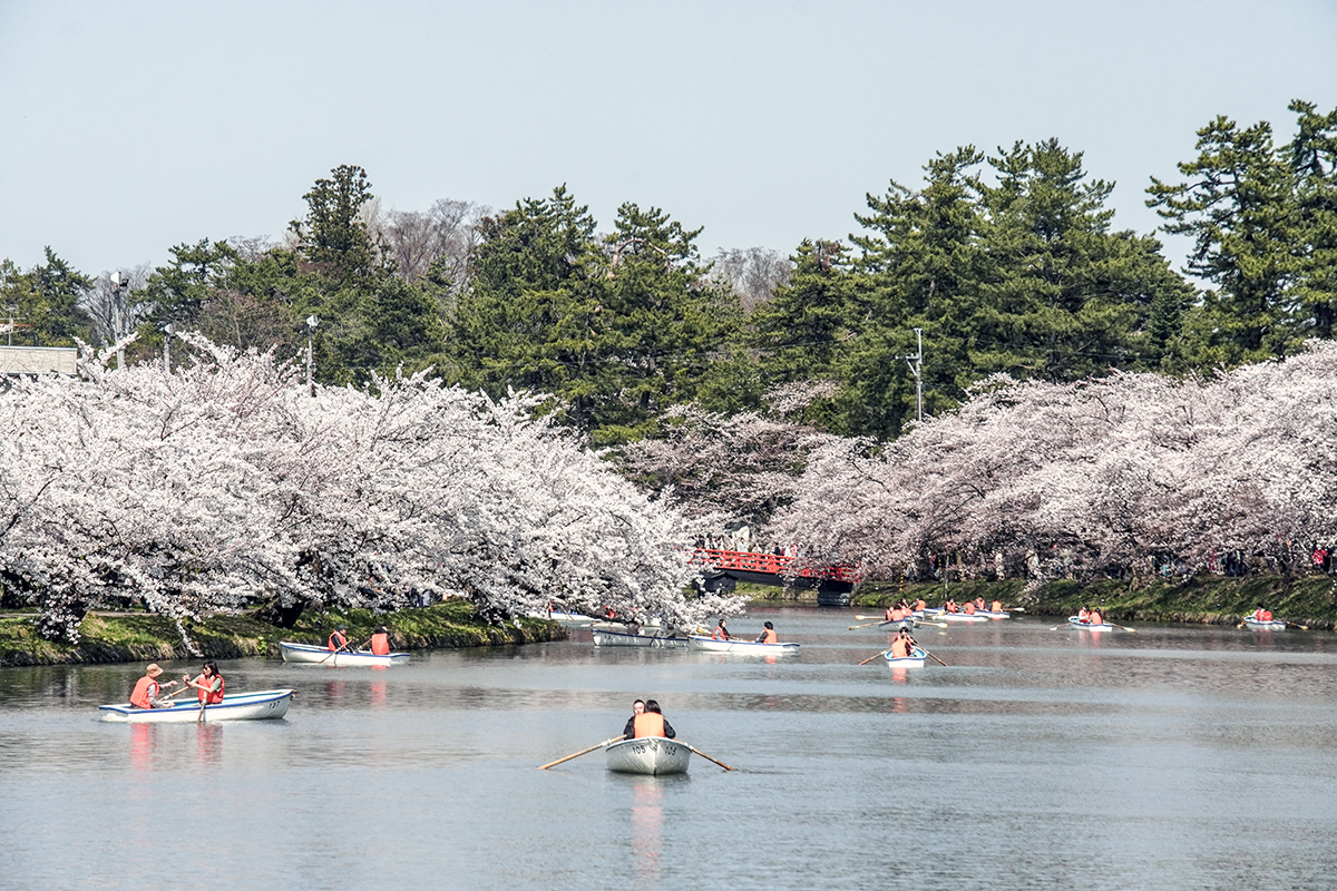 2026年4月16日、弘前公園西濠
