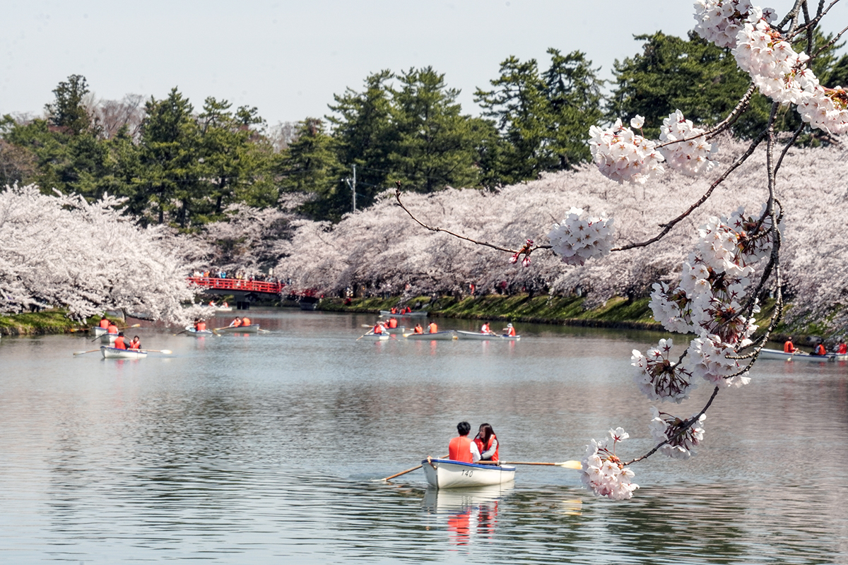 2026年4月17日、弘前公園西濠