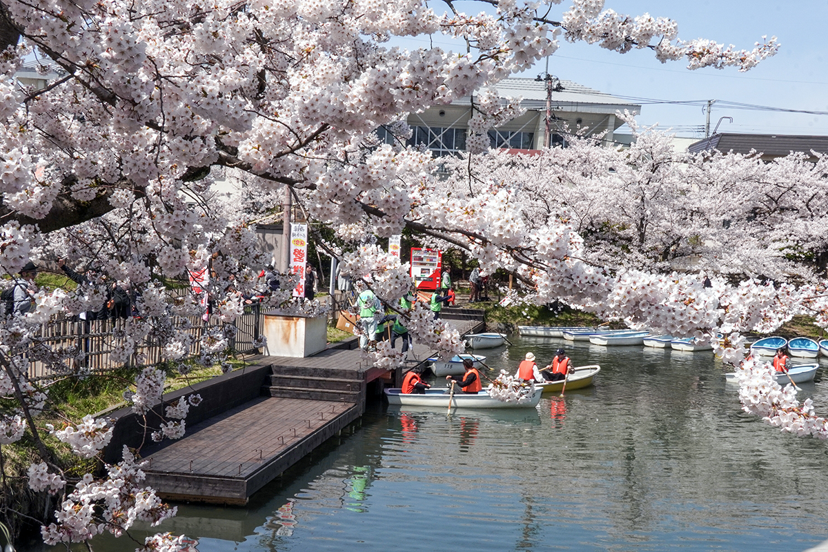 2026年4月17日、弘前公園西濠