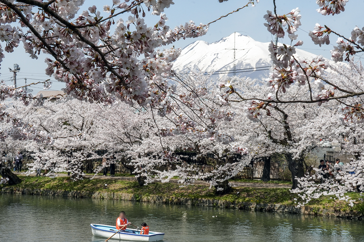 2026年4月17日、弘前公園西濠