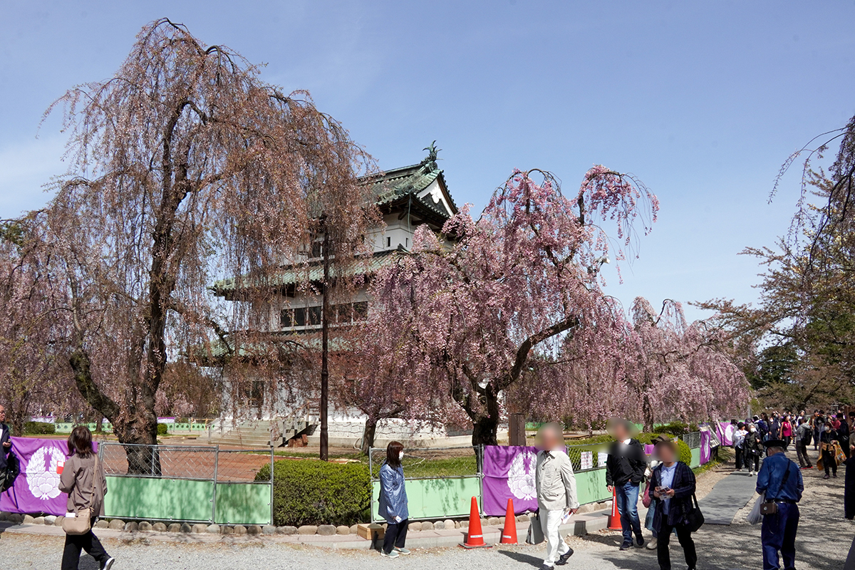 2026年4月23日、弘前公園本丸