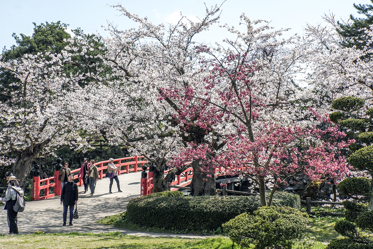 2026年4月16日、弘前公園北の郭
