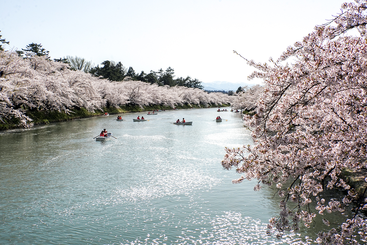 2026年4月20日、弘前公園西濠