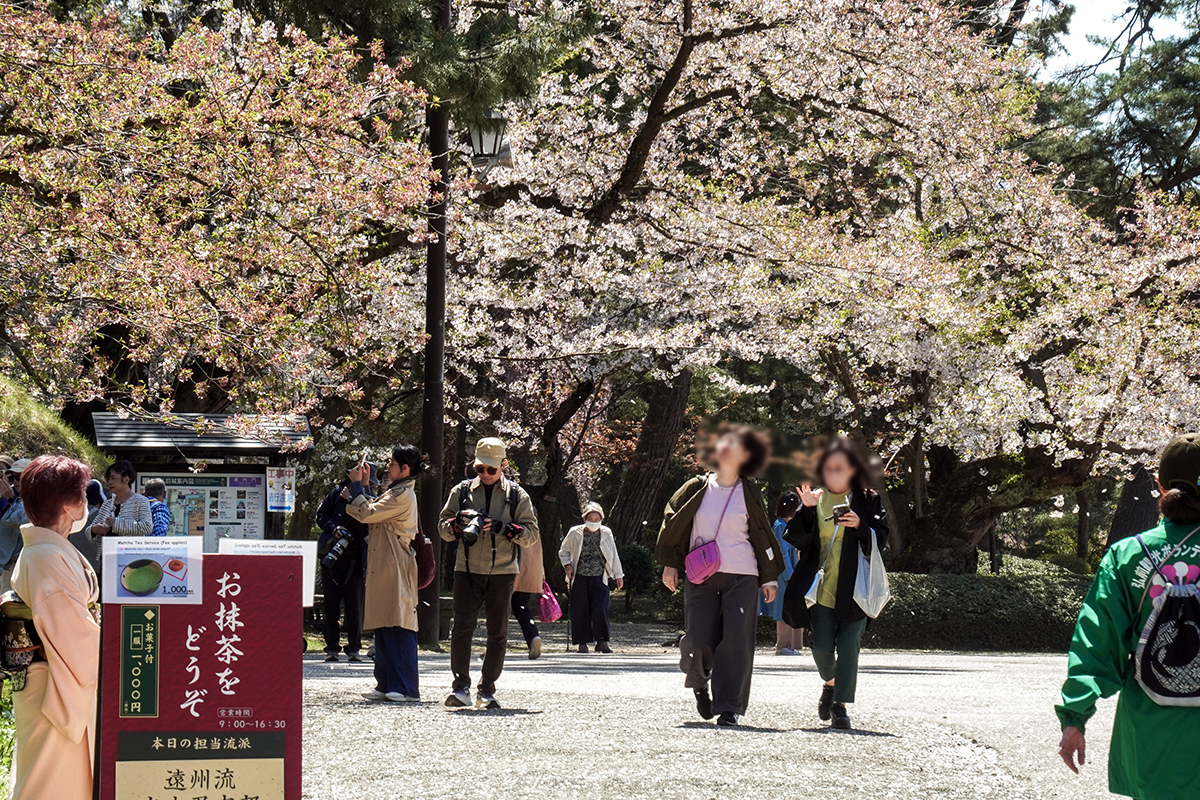 2026年4月24日、弘前公園二の丸・与力番所近く
