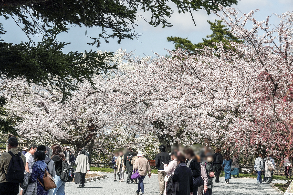 2026年4月16日、弘前公園本丸