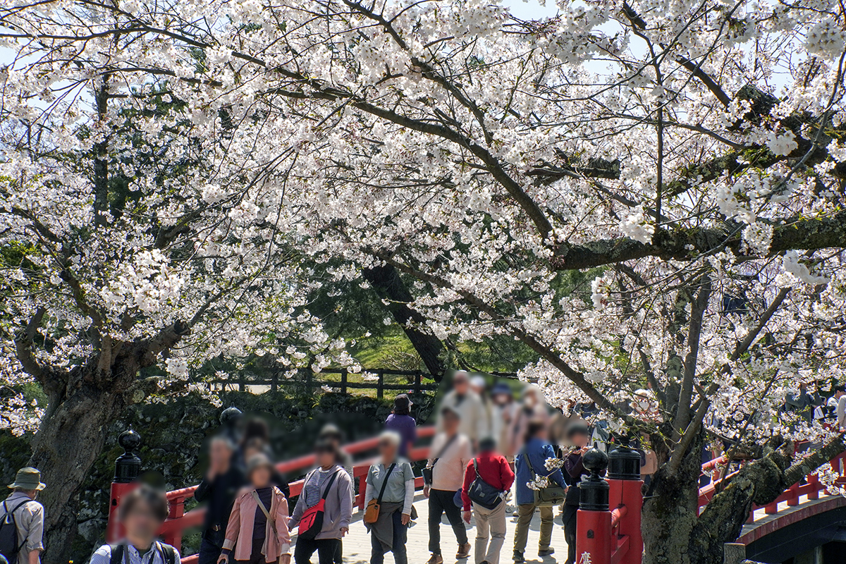 2026年4月17日、弘前公園・北の郭