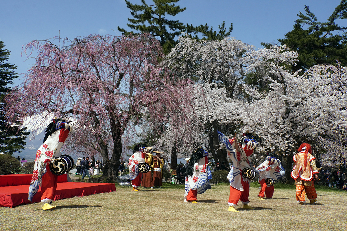 2026年4月17日、弘前公園本丸