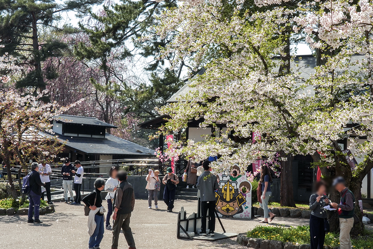 2026年4月20日、弘前公園・北の郭