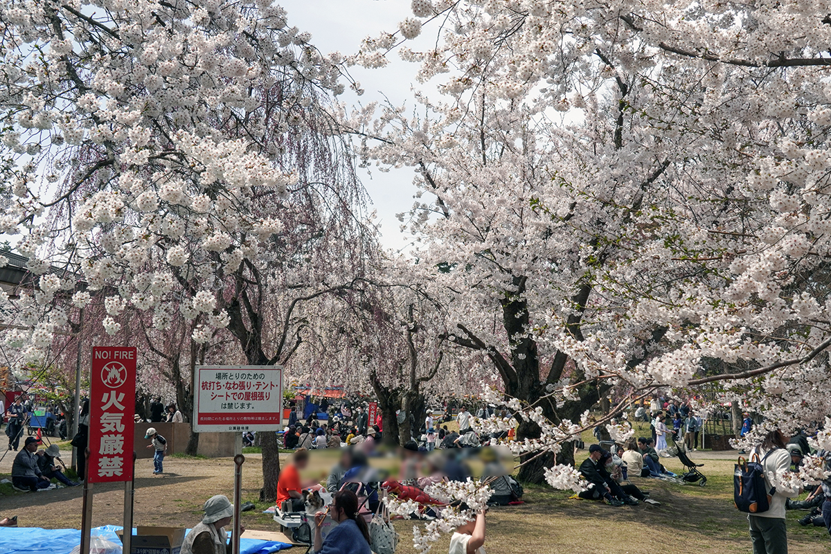 2026年4月17日、弘前公園四の丸