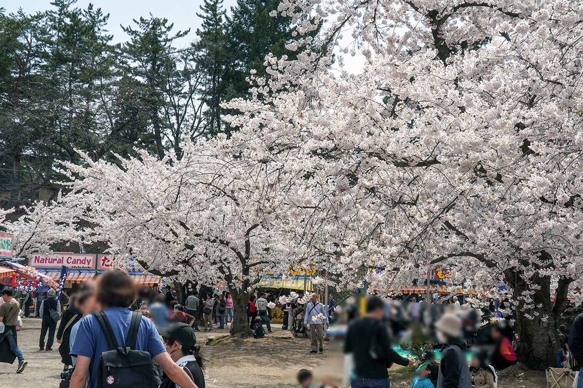 2026年4月17日、弘前公園四の丸