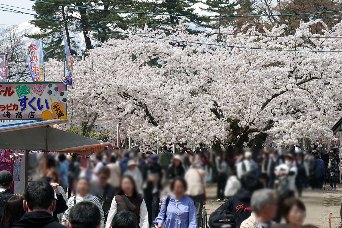 2026年4月17日、弘前公園四の丸