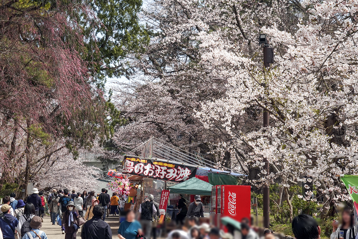 2026年4月17日、弘前公園三の丸・物産館から中央高校口方面