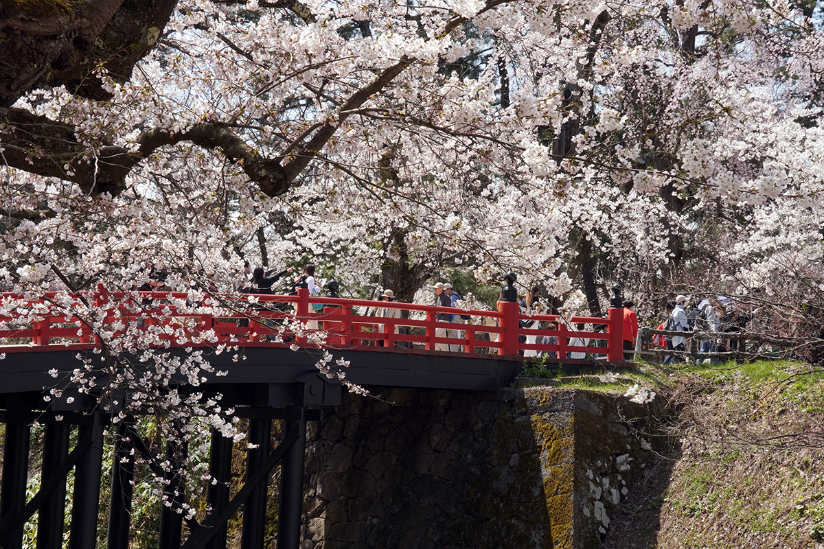 2026年4月17日、弘前公園二の丸・下乗橋