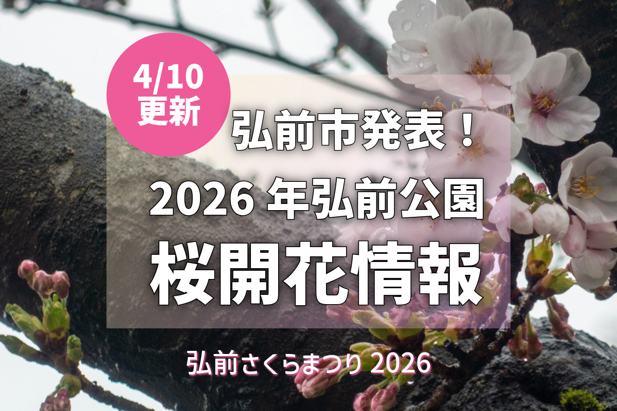 2026/4/10更新】弘前公園さくら情報：日本一太いソメイヨシノが開花