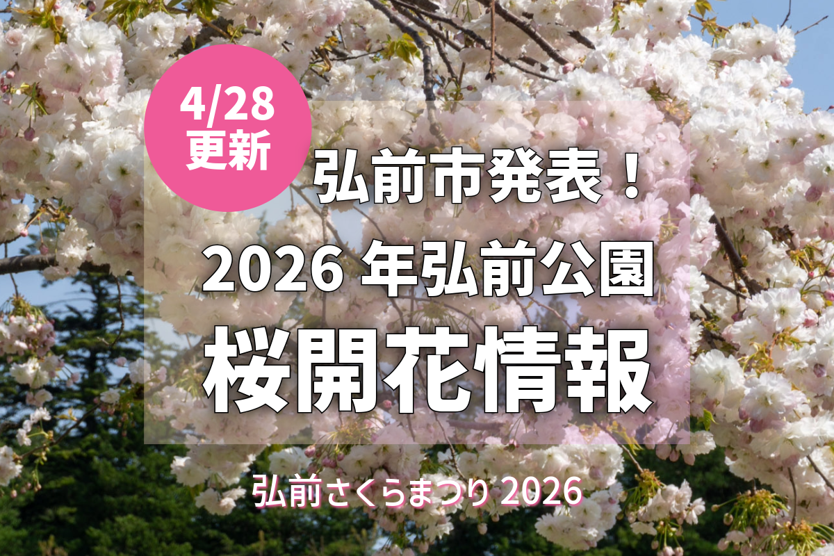 2026/4/28更新】弘前公園さくら情報：松月が本日満開！GWは八重桜の