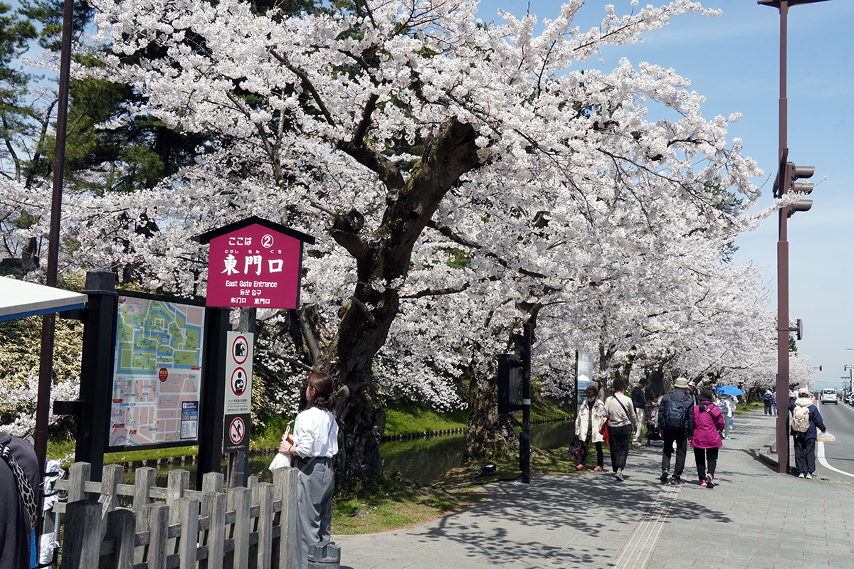 2026年4月17日、弘前公園外濠東側（東門口）