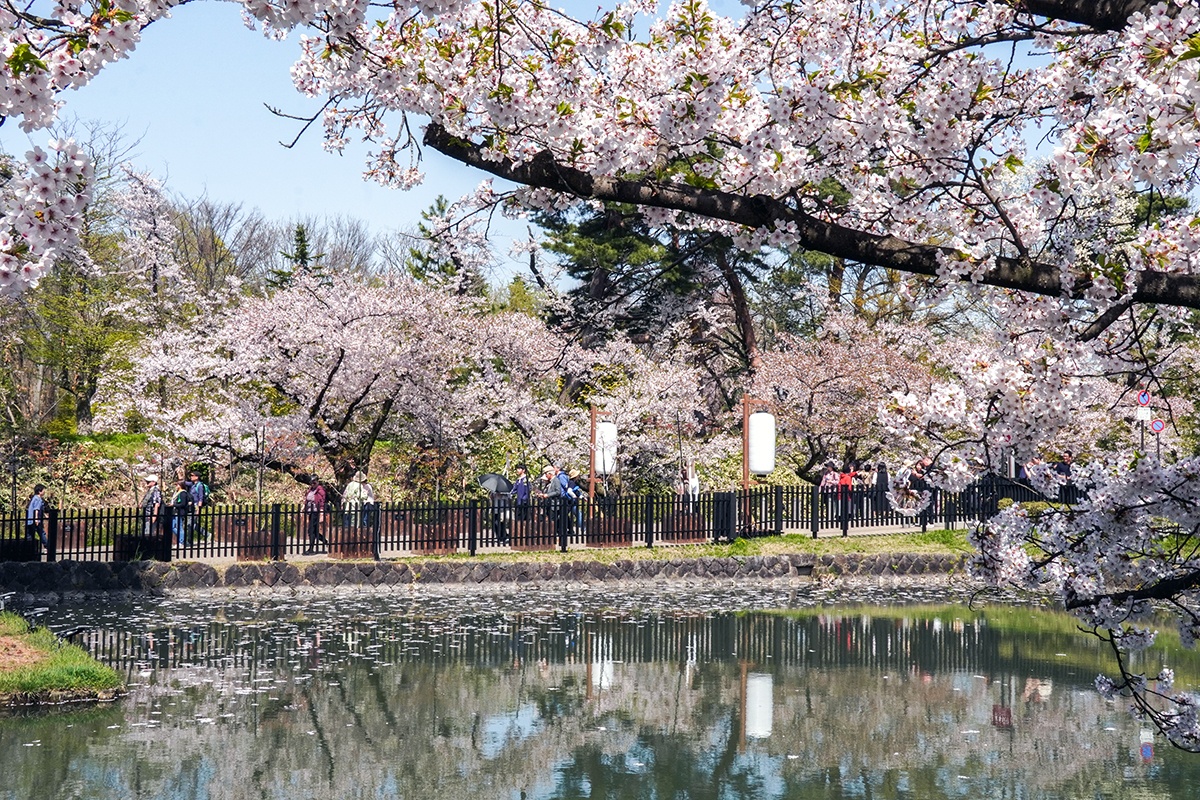 2026年4月20日、弘前公園外濠・追手門口