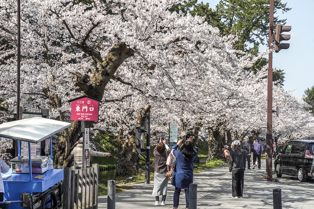 2026年4月16日、弘前公園外濠（東門前）