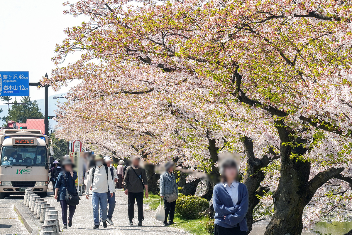 2026年4月20日、弘前公園外濠・市役所前