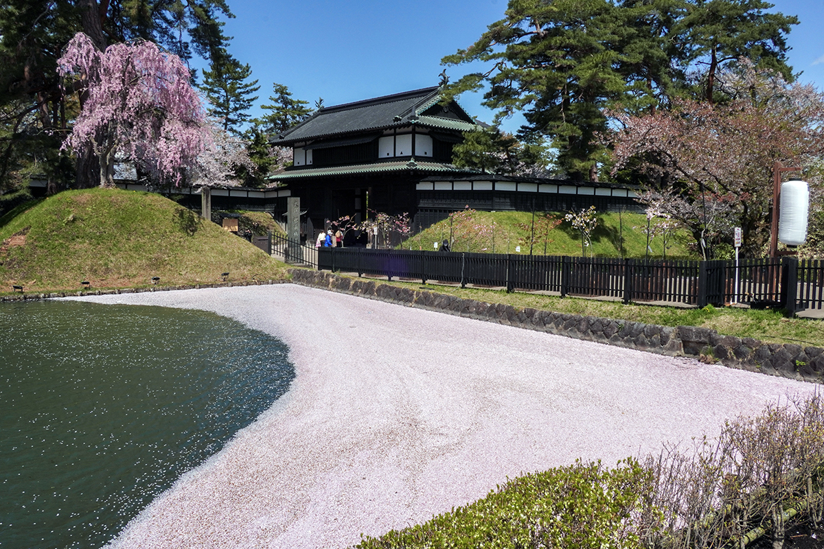 2026年4月21日、弘前公園外濠・追手門口