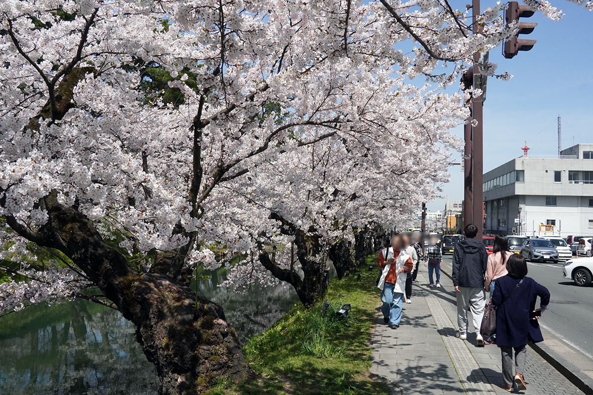 2026年4月17日、弘前公園外濠東側