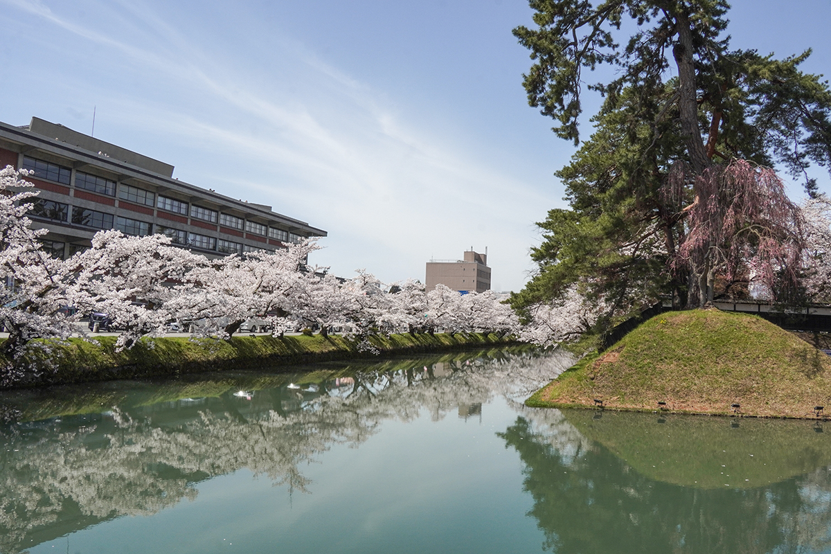 2026年4月17日、弘前公園外濠南側（市役所前交差点）