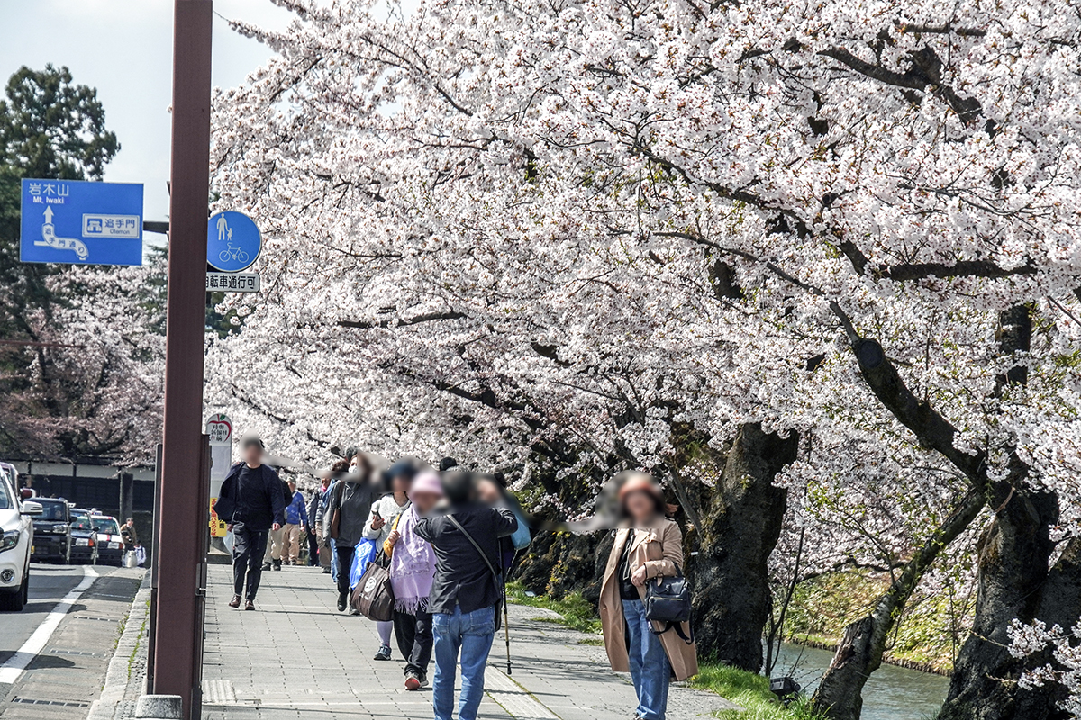 2026年4月16日、弘前公園外濠（南側）