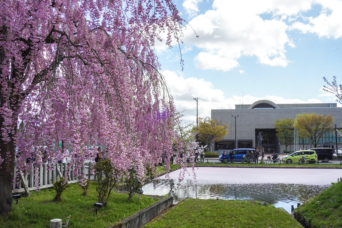 2026年4月21日、弘前公園外濠・東門口