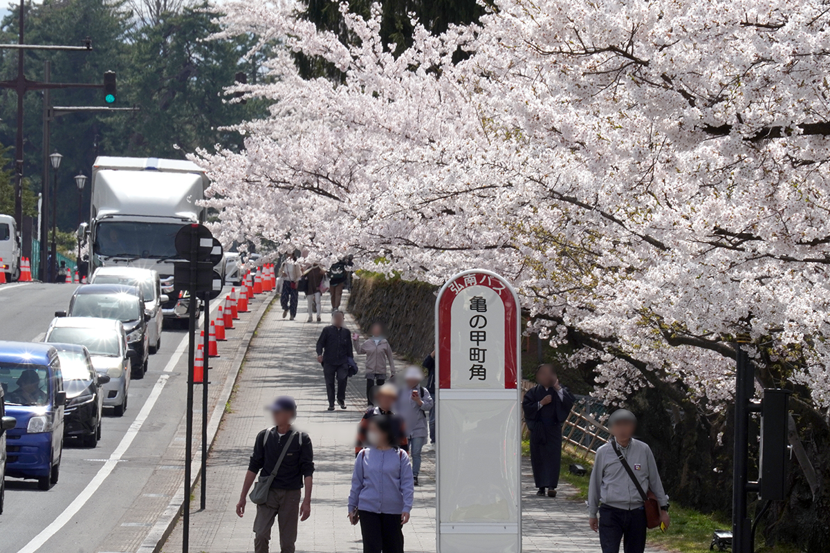 2026年4月17日、弘前公園外濠北側（津軽藩ねぷた村付近）