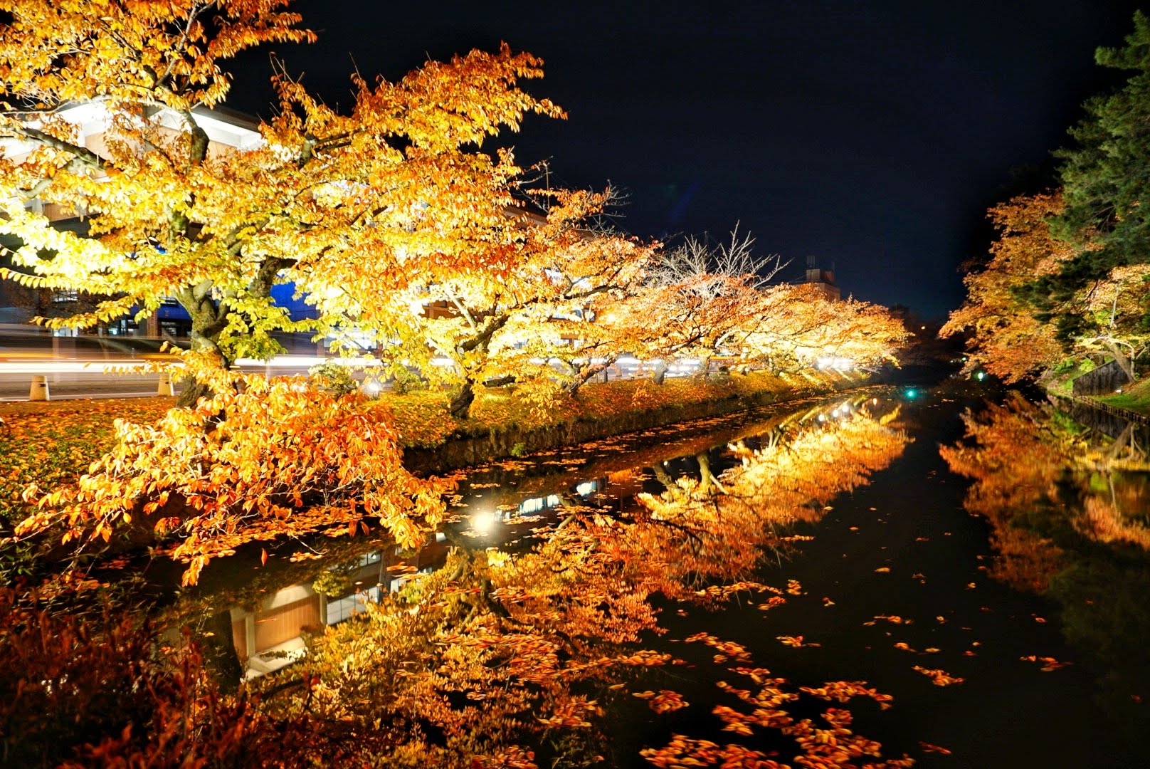 弘前公園　紅葉　ライトアップ