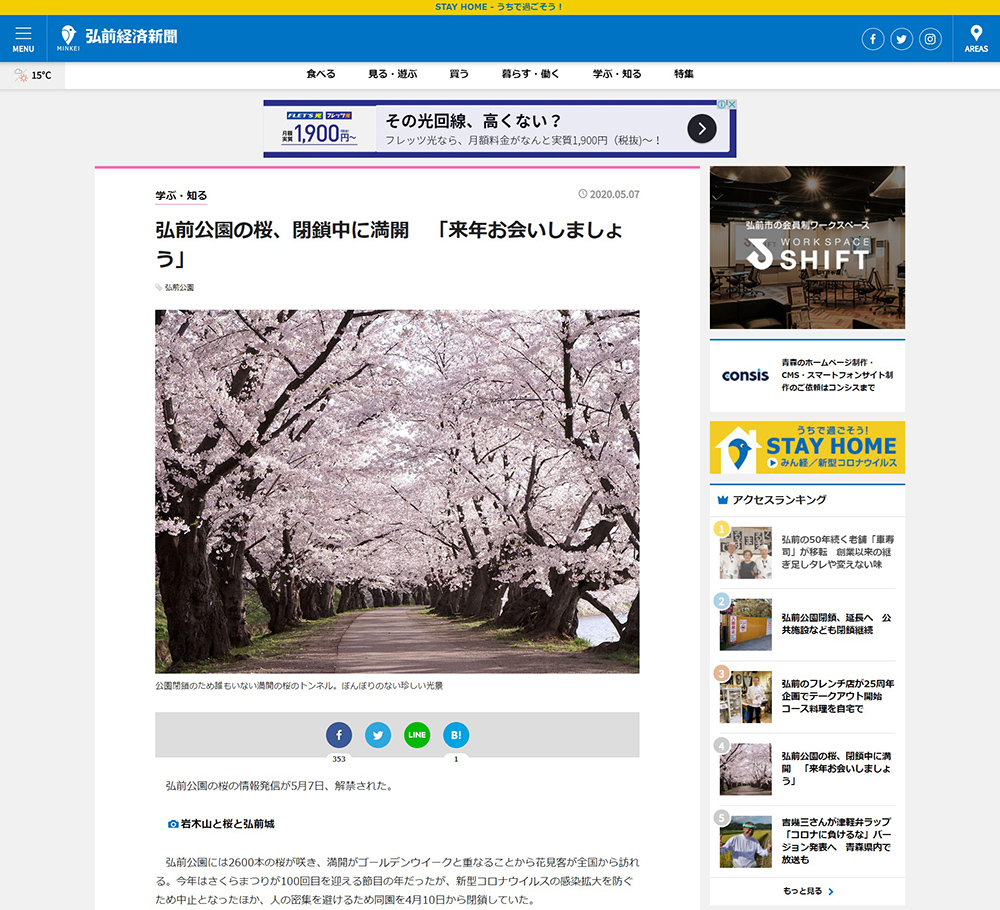 弘前公園の桜、閉鎖中に満開　「来年お会いしましょう」