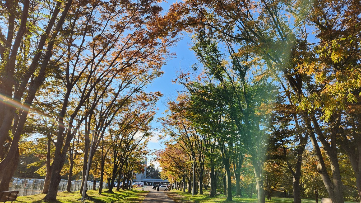 弘前公園の様子