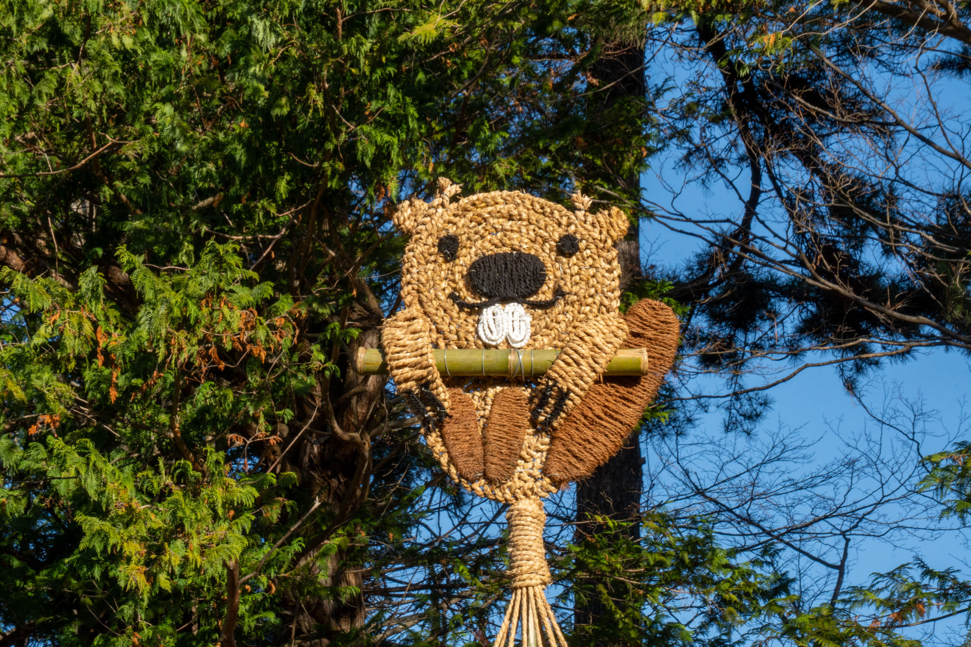 雪吊り（ラッコ）