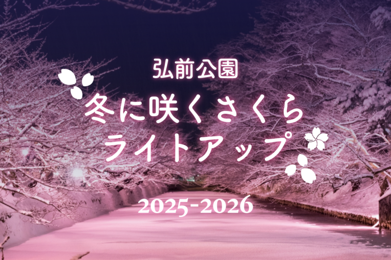 弘前公園「冬に咲くさくらライトアップ 2025-2026」